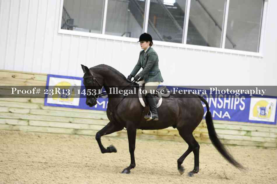Proof Number 23R13_14531
