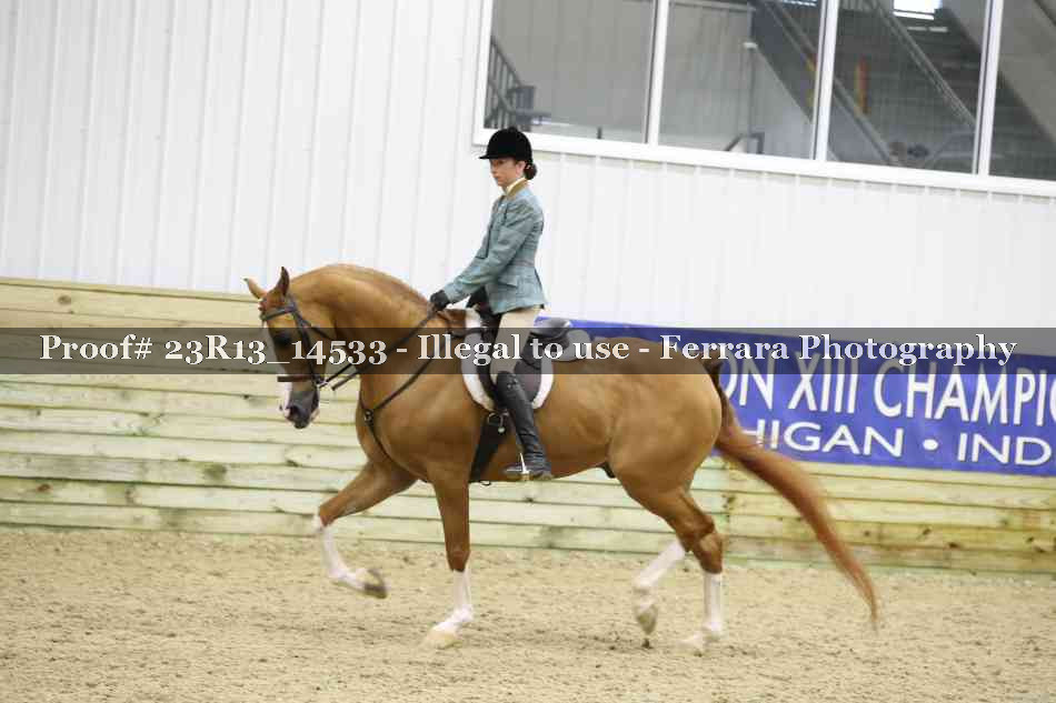 Proof Number 23R13_14533