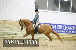 23R13_14533 thumbnail