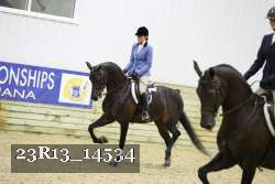 23R13_14534 thumbnail