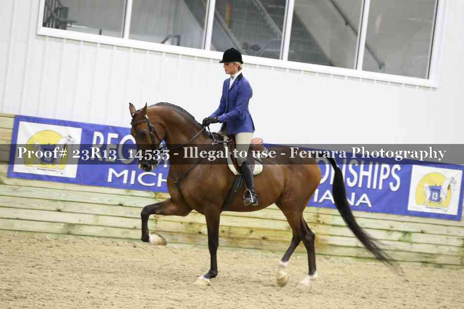 Proof Number 23R13_14535