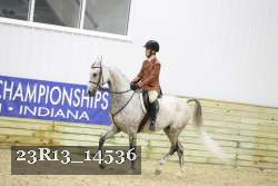 23R13_14536 thumbnail