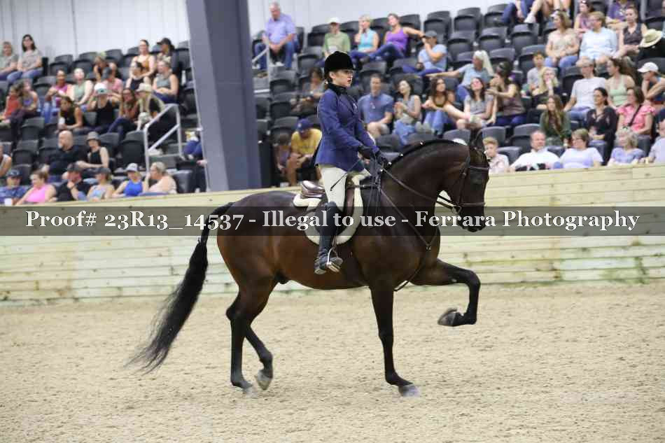 Proof Number 23R13_14537