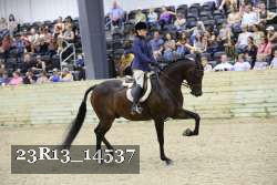 23R13_14537 thumbnail