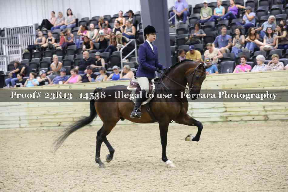 Proof Number 23R13_14538