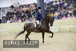 23R13_14538 thumbnail
