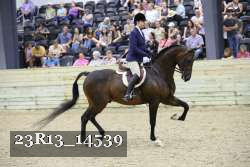 23R13_14539 thumbnail
