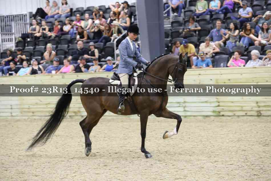 Proof Number 23R13_14540