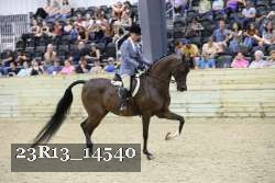 23R13_14540 thumbnail