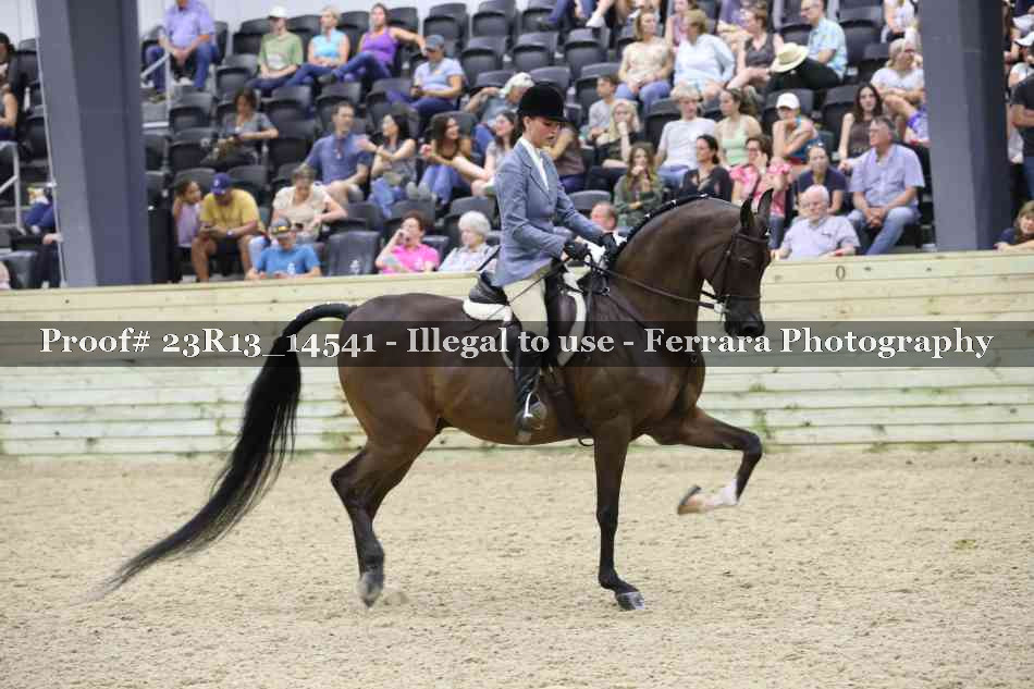 Proof Number 23R13_14541