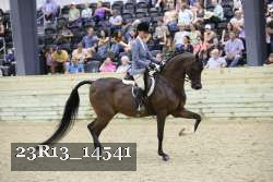 23R13_14541 thumbnail