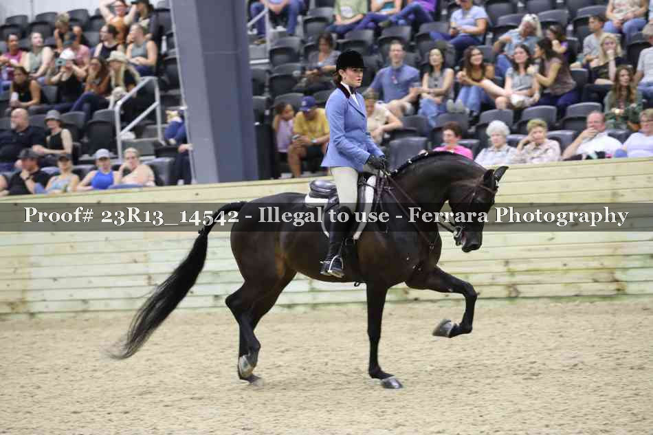 Proof Number 23R13_14542