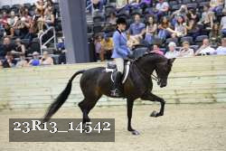 23R13_14542 thumbnail