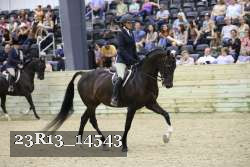 23R13_14543 thumbnail