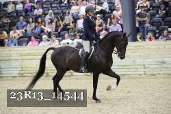23R13_14544 thumbnail