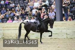 23R13_14545 thumbnail