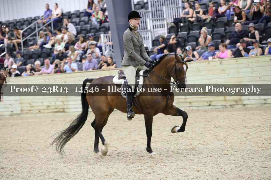 Proof Number 23R13_14546