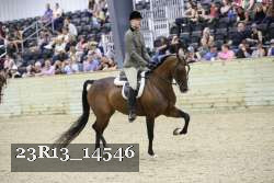 23R13_14546 thumbnail