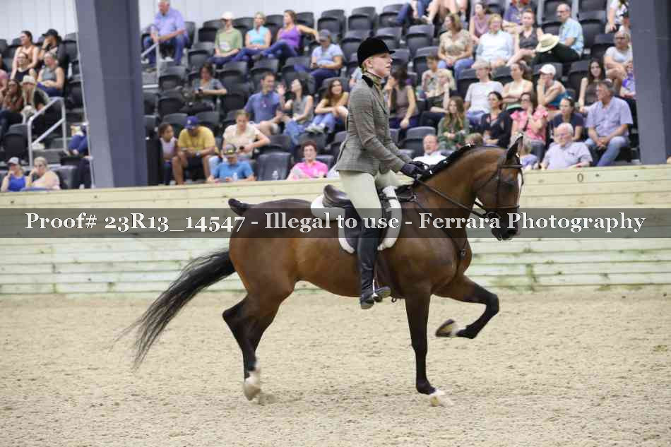 Proof Number 23R13_14547