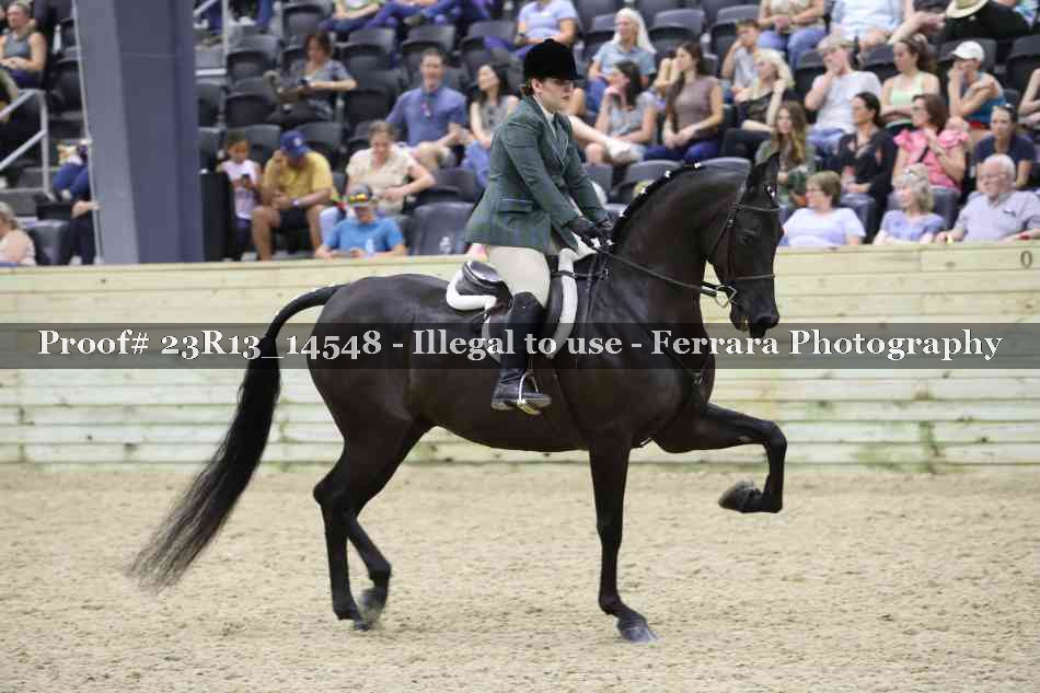 Proof Number 23R13_14548