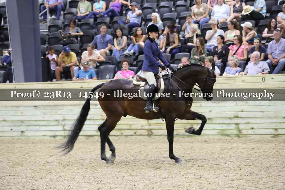 Proof Number 23R13_14549