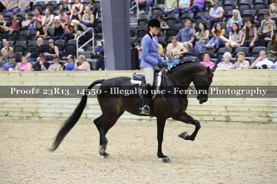 Proof Number 23R13_14550
