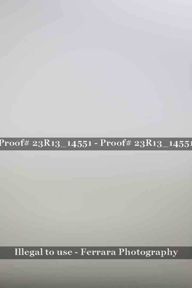 Proof Number 23R13_14551