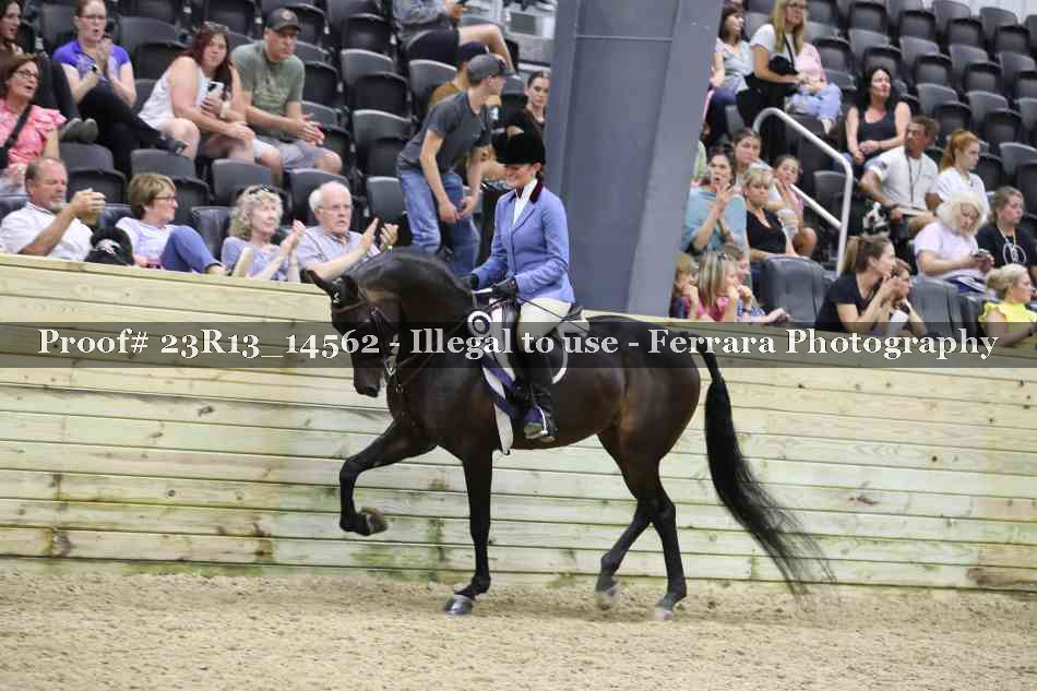 Proof Number 23R13_14562