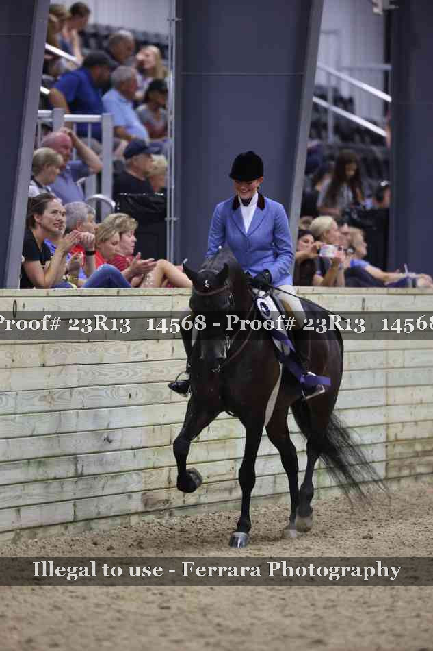 Proof Number 23R13_14568