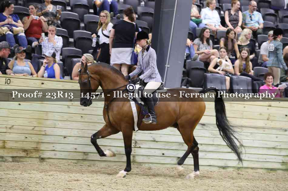 Proof Number 23R13_14571