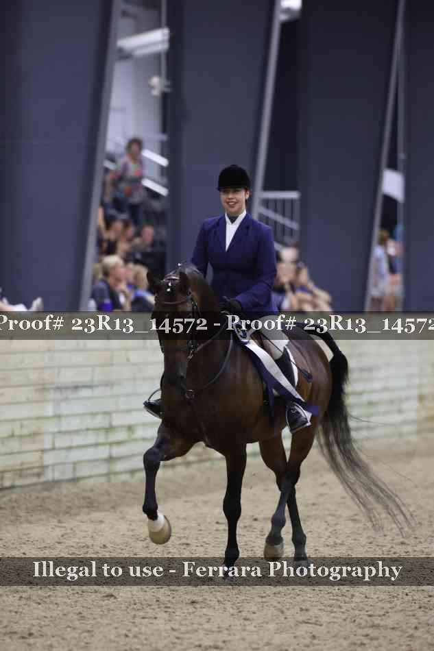 Proof Number 23R13_14572