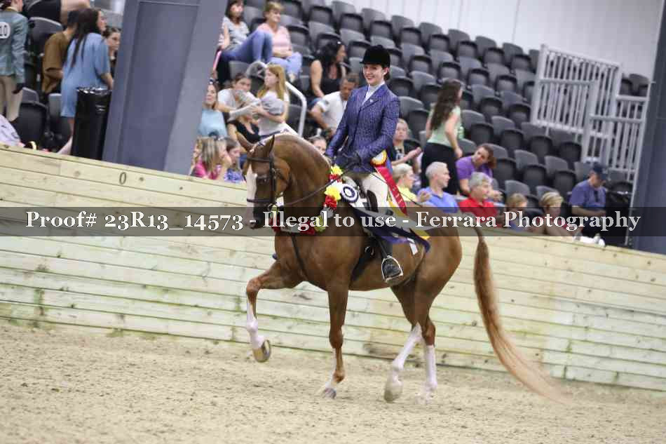 Proof Number 23R13_14573