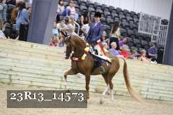 23R13_14573 thumbnail