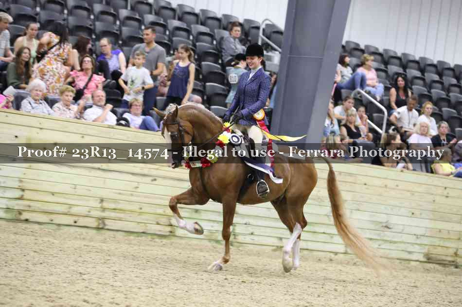 Proof Number 23R13_14574