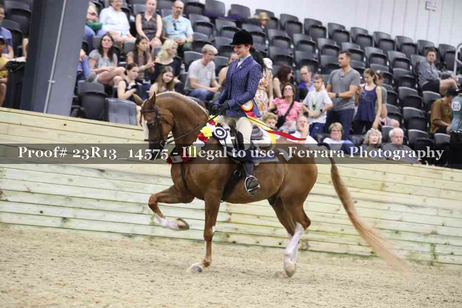 Proof Number 23R13_14575