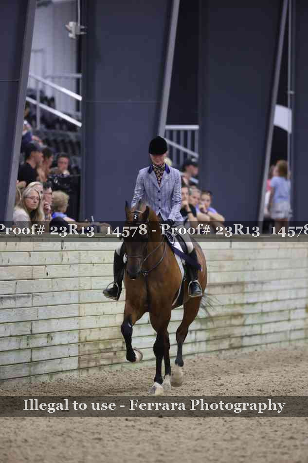 Proof Number 23R13_14578