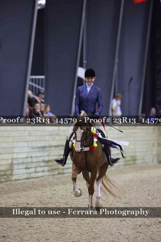Proof Number 23R13_14579