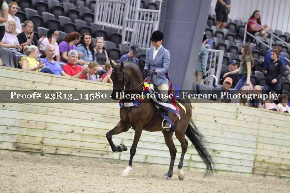 Proof Number 23R13_14580