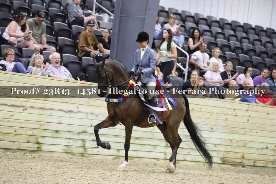 Proof Number 23R13_14581