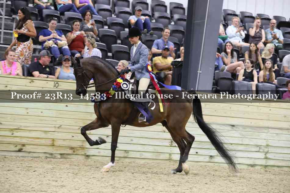 Proof Number 23R13_14583