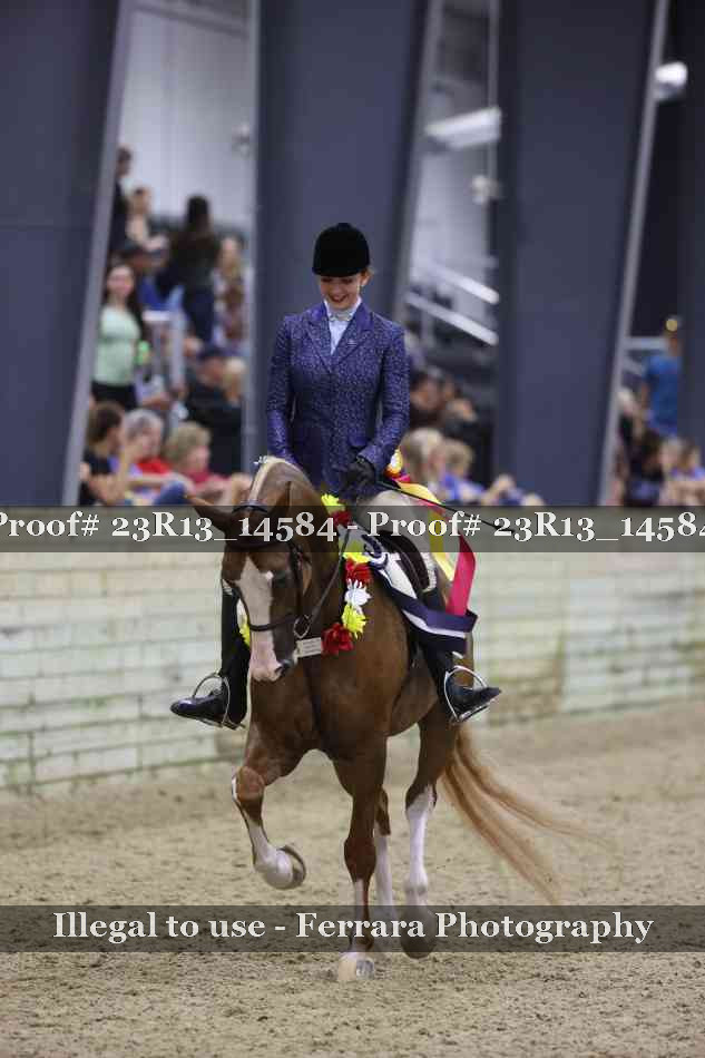 Proof Number 23R13_14584