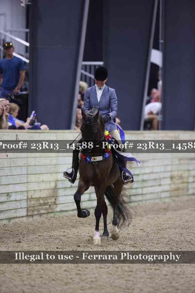 Proof Number 23R13_14588