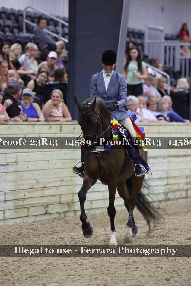 Proof Number 23R13_14589