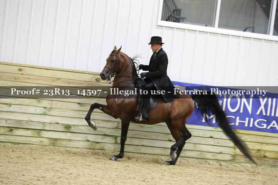 Proof Number 23R13_14597