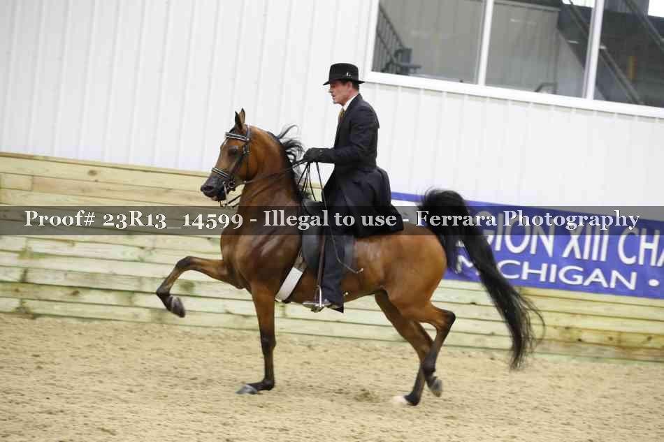 Proof Number 23R13_14599