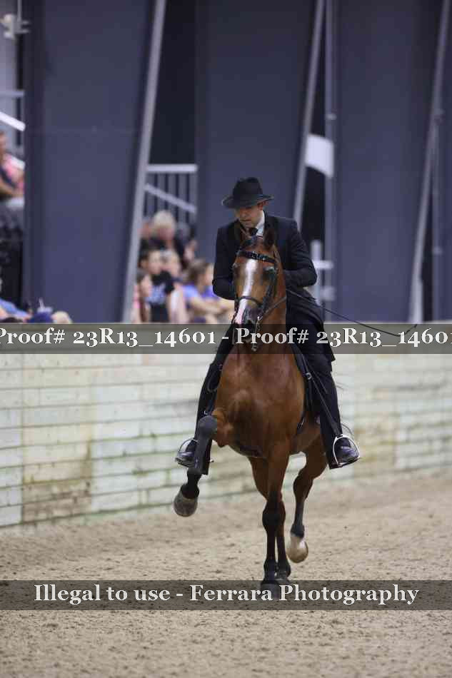 Proof Number 23R13_14601