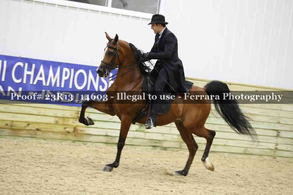 Proof Number 23R13_14603