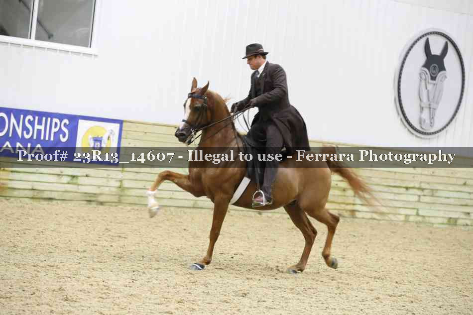 Proof Number 23R13_14607