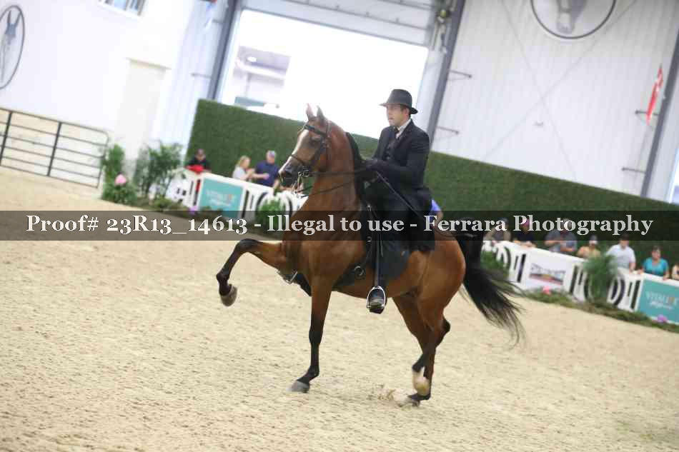 Proof Number 23R13_14613