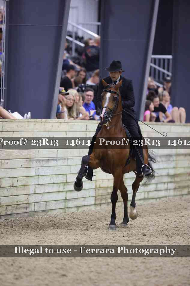 Proof Number 23R13_14614